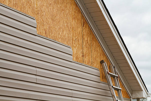 Professional Siding Inspection technician working in Plainfield, IL